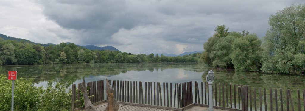 Ribnik Vrbje